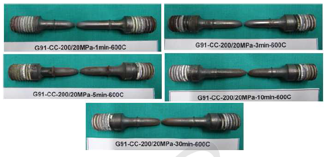 Rupture specimens with hold times at cyclic creep tests of Gr. 91 steel at 600oC