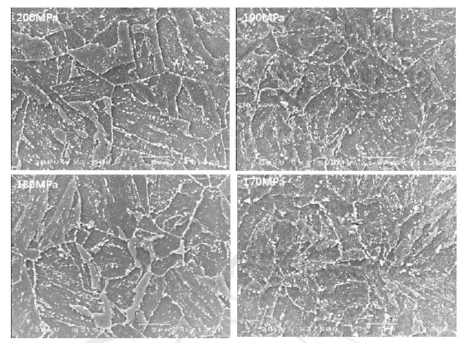 Precipitates formed for four samples (20MPa/200MPa, 19MPa/190MPa, 18MPa/180MPa, 17MPa/170MPa) ruptured by cyclic creep tests