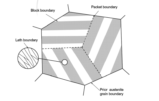 Schematic diagram of the ferrite/martensite microstructure