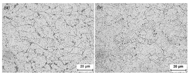 (a) 열간압연 및 (b) 용체화처리된 XR 합금의 광학미세조직.