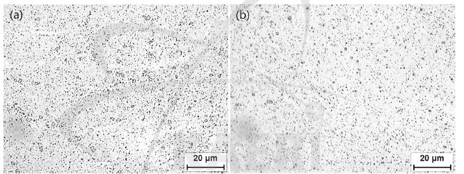 (a) 열간압연 및 (b) 용체화처리된 XR ODS-16 합금의 광학미세조직.