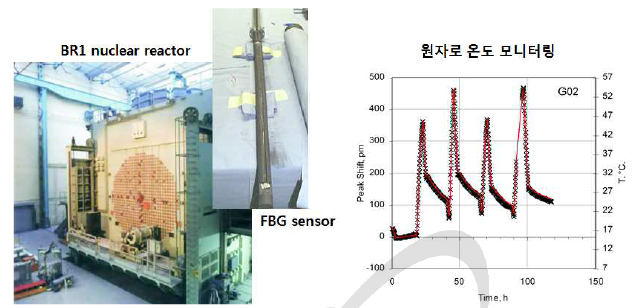 FBG 센서의 BR-1 연구용 원자로 온도 모니터링(SCK·CEN)