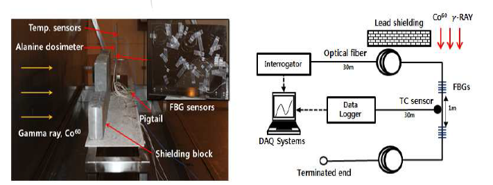 FBG 센서 내방사선 시험평가 구성도