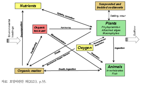 Conceptual model of ecosystem represented by AQUATOX (adopted from US EPA)