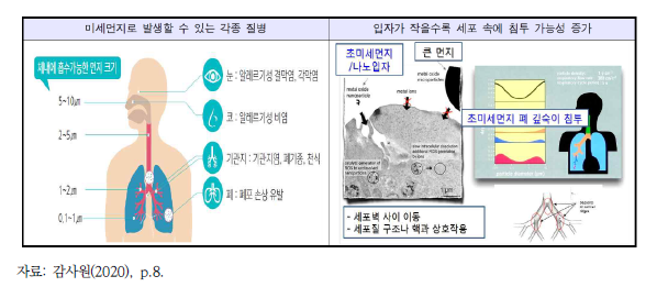 초미세먼지로 인한 인체 영향