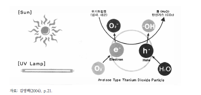 광촉매 이산화티타늄의 산화분해 반응경로