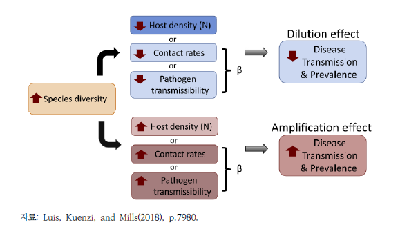종 다양성으로 인한 희석효과와 증폭효과