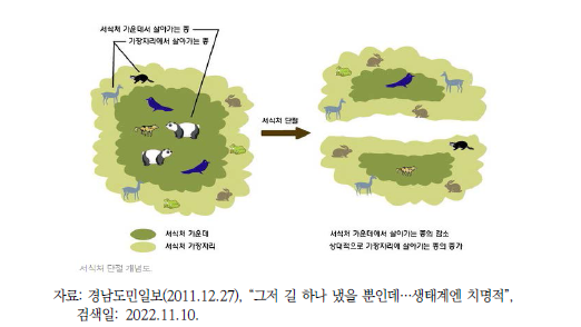 가장자리 효과