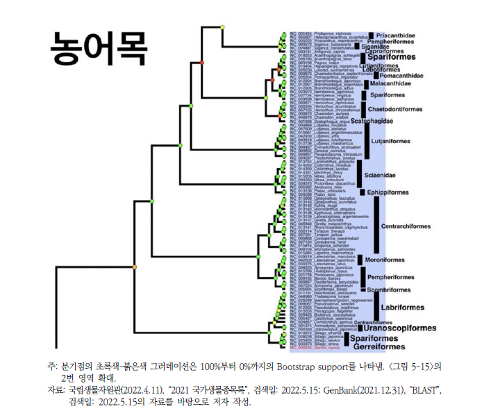 기존 농어목으로 분류된 분류군의 계통학적 유연관계