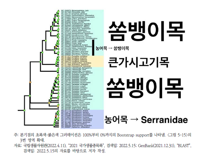 기존 농어목과 쏨뱅이목으로 분류된 분류군의 계통학적 유연관계