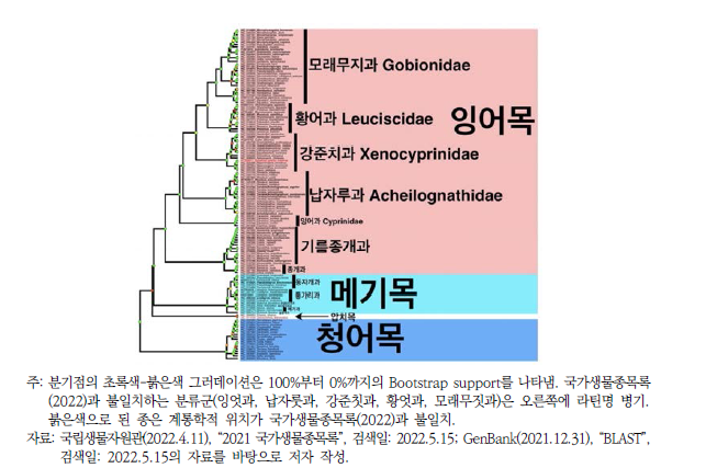 한국산 잉어목, 메기목, 압치목, 청어목의 계통학적 유연관계