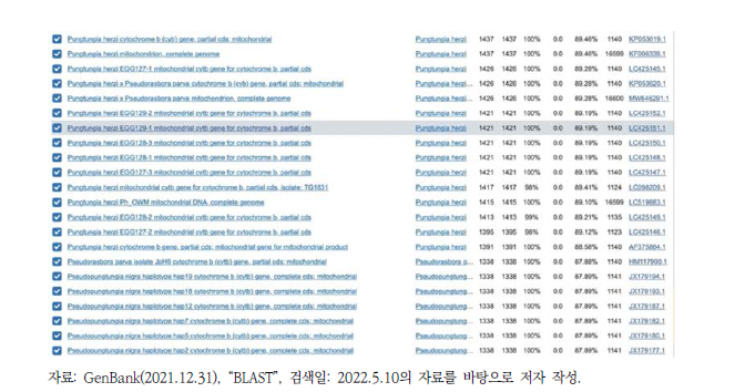 꺽지 Coreoperca herzi로 등록된 cytochrome b 서열의 BLAST 결과