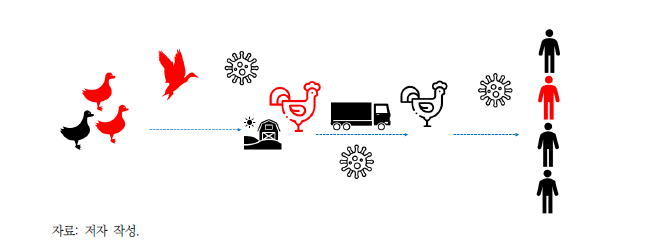 야생동물-가축-사람 간 조류인플루엔자 전파경로