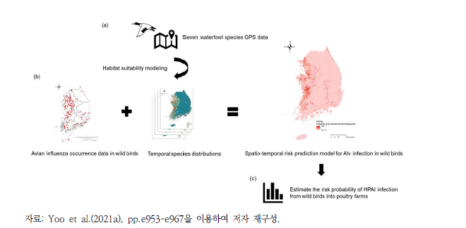 야생조류-가금농장 간 HPAI 전파 분석 연구 모식도