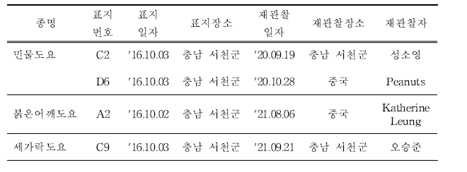 국내에서 재관찰된 국내 부착 도요‧물떼새류 컬러플랙