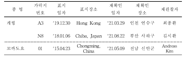 국내에서 재관찰된 국외 부착 도요·물떼새류 컬러플랙