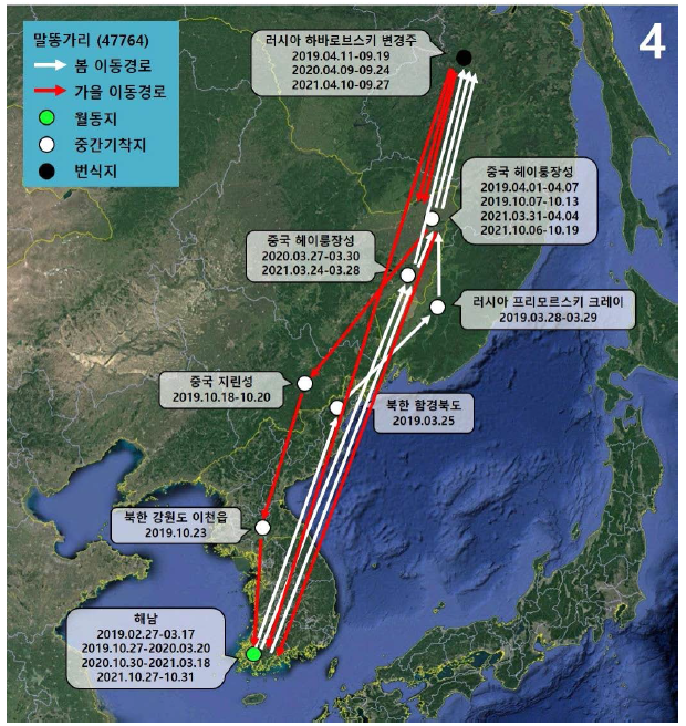 말똥가리(ID 47764)의 이동경로