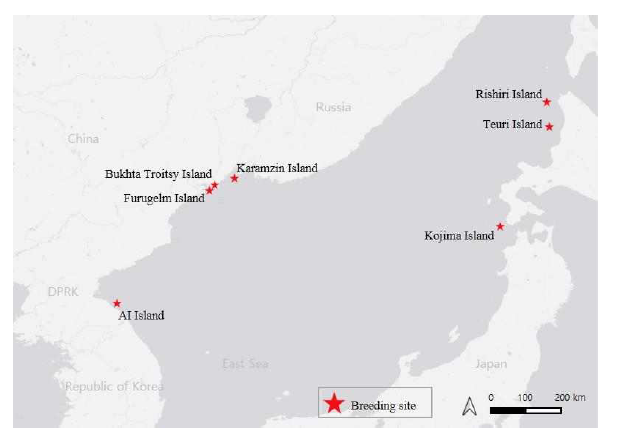 동해안 월동 괭이갈매기의 국외 번식지 위치