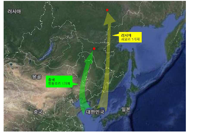 국외에서 재확인된 한국 금속가락지 부착 개체 현황