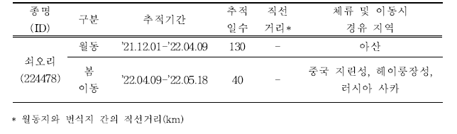 쇠오리의 이동경로 위치추적 결과