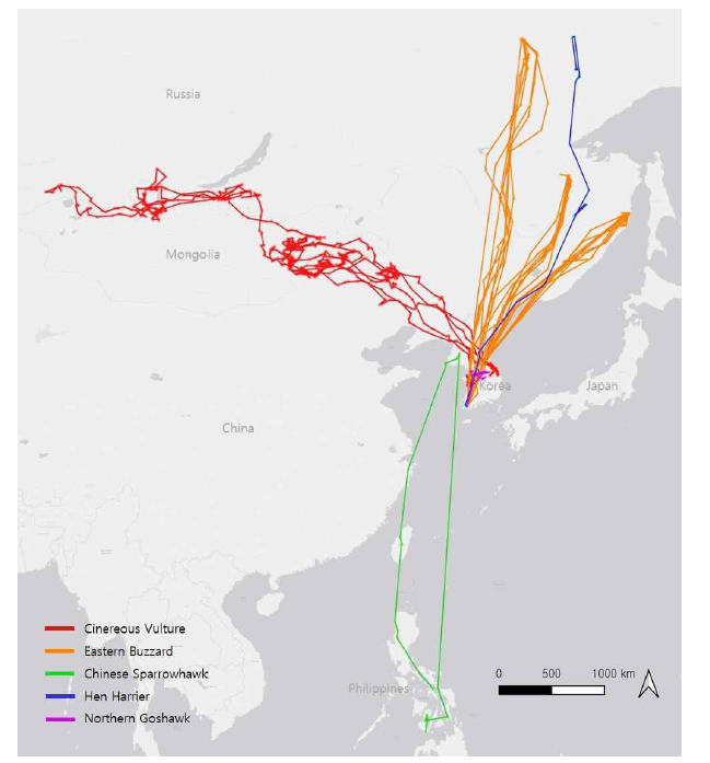 맹금류 5종의 이동경로