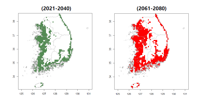 기후변화시나리오(SSP 245)에 따른 2021-2040년과 2061-2080년 수 면성오리류의 분포 범위 예측