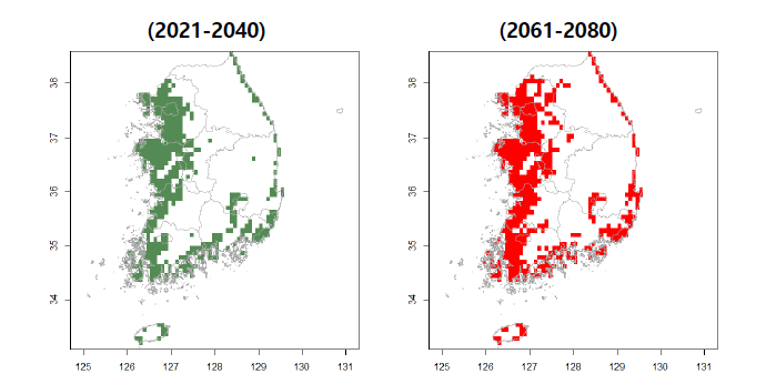 기후변화시나리오(SSP 370)에 따른 2021-2040년과 2061-2080년 잠 수성오리류의 분포 범위 예측