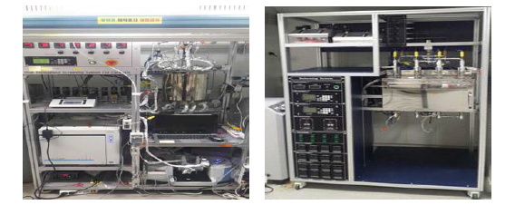 8-port high throughput (좌) 및 4-port scale-up 반응시스템 구축 (우)