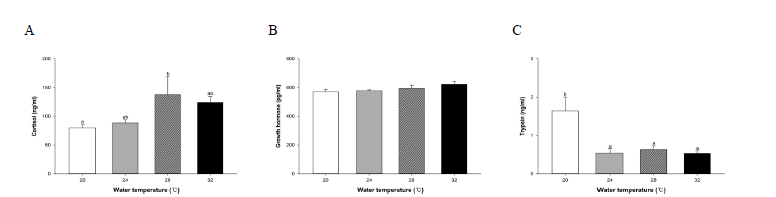 Physiological response of hybrid grouper (RGGG) in each water temperature. (A) cortisol, (B) growth hormone,(C) trypsin.