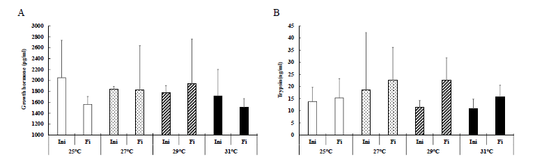 Growth hormone (A) and trypsin (B) concentrations of hybrid grouper (LGGG) in each water temperature.