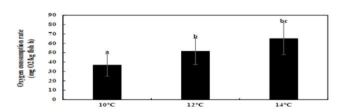 Oxygen consumption rate of hybrid grouper (RGGG) under low-water temperature condition.