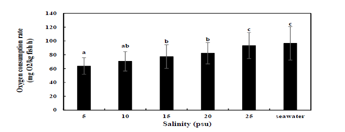 Oxygen consumption rate of hybrid grouper (RGGG) in each salinity.