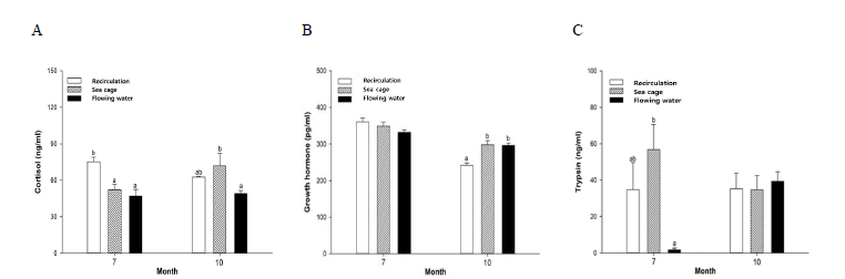 Physiological response of hybrid grouper (LGGG) in each aquaculture method. (A) cortisol, (B) growth hormone, (C) trypsin.