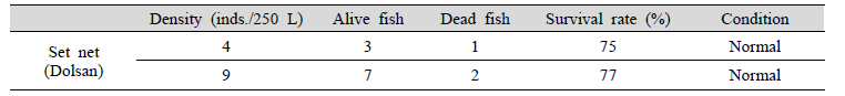 Results of 6 hours-transportation of wild broodstock under different stock density (30th~31st, Oct. 2020)