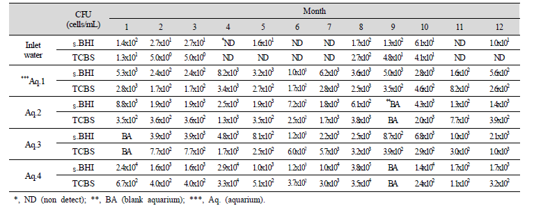Monthly number of bacterial cells from rearing water of broodstock