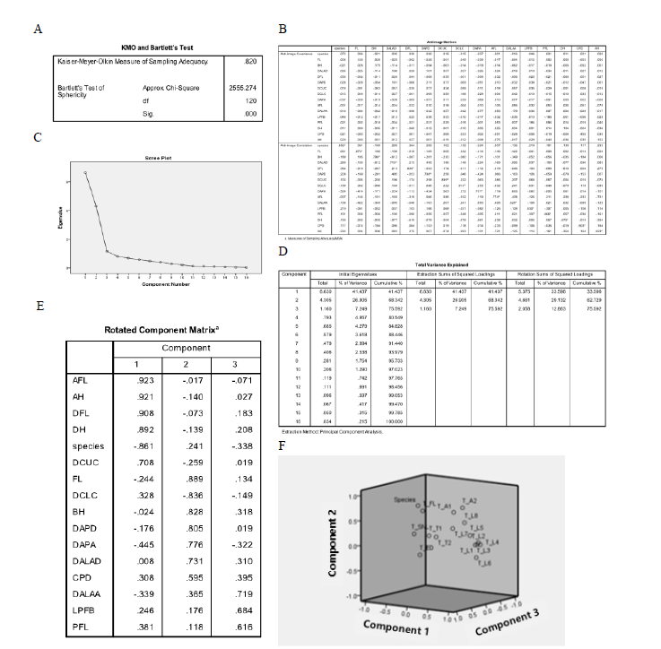Results of factor analysis for morphometric images of pomfrets. (A) statistical analysis, (B) reversed-image matrix, (C) Total variation, (D) scree table, (E) rotated matrix, (F) component table for rotation space