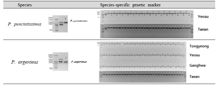Analysis of species-specific genetic marker for identification