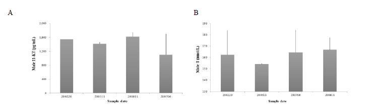 Quantitative analysis of 11-KT and T levels in testis of pomfrets collected in 2020. (A) 11-KT (n=20), (B) T (n=20)