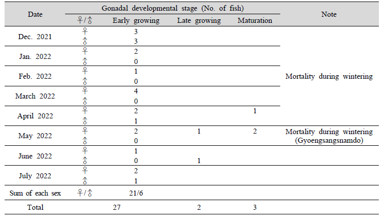 Gonadal development of broodstock during rearing period (Dec., 2021 to July, 2022)