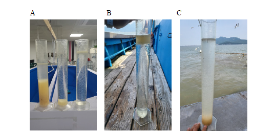 Comparison of fertilized eggs by artificial egg collection. (A) trasnportation of fertilized eggs, (B) collection of ripe eggs, (C) floated eggs after fertilization