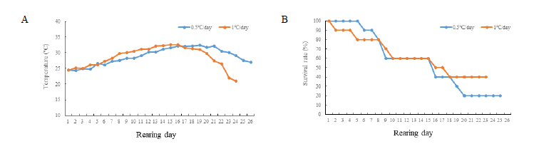 Changes in (A) water temperature and (B) survival rates of P. argenteus by high water temperature treatment