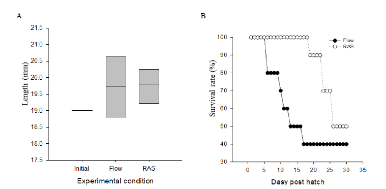 Comparison of (A) total length and (B) survival rate between flow-through and RAS intermediate culture