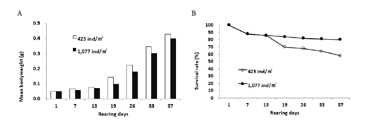 Variations of weight (A) and survival rate (B) under different postlarvae densities during the nursery of F. chinensis (2018. 6. 13.~7. 19.).