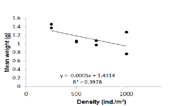 The correlation between stocking density and body weight in nursery.