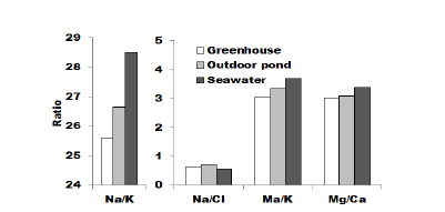 Ion balance in the biofloc culture water of the indoor and outdoor system of F. chinensis.