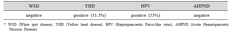 Results of disease screening of wild (boryeong) broodstock (2018. 10. 29.)