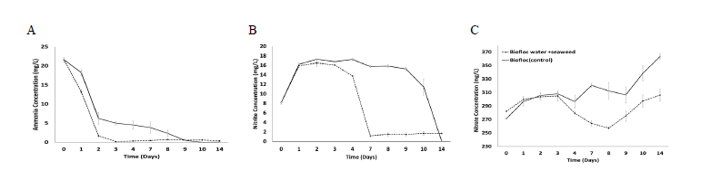 The ability of S. horneri to eliminate nitrogen (ammonia (A), nitrite (B) and nitrate (C) compounds).