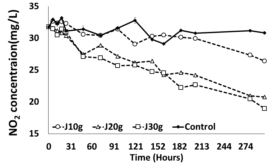 The ability of Z. japonicus to eliminate nitrous acid at different stocking densities.