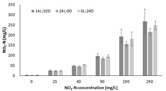 Effects of different photoperiods (14L:10D, 24 light and 24 dark) on the nitrate concentration.