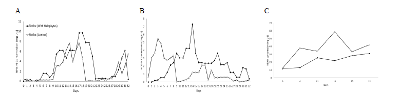 Effects of halophytes (T. maritimum) planting on nitrogen compounds ammonia (A), nitrite (B) and nitrate (C) in culture water.